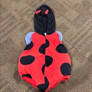 Red and Black Ladybug Costume for Kids